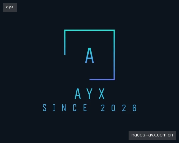 解读ayx公司